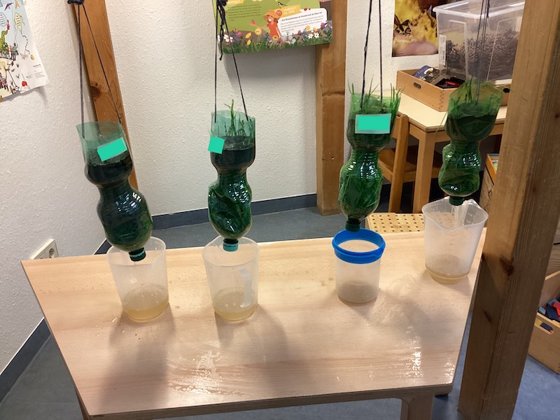 Es hängen Flaschen kopfüber, die als Wasserfilter agieren.