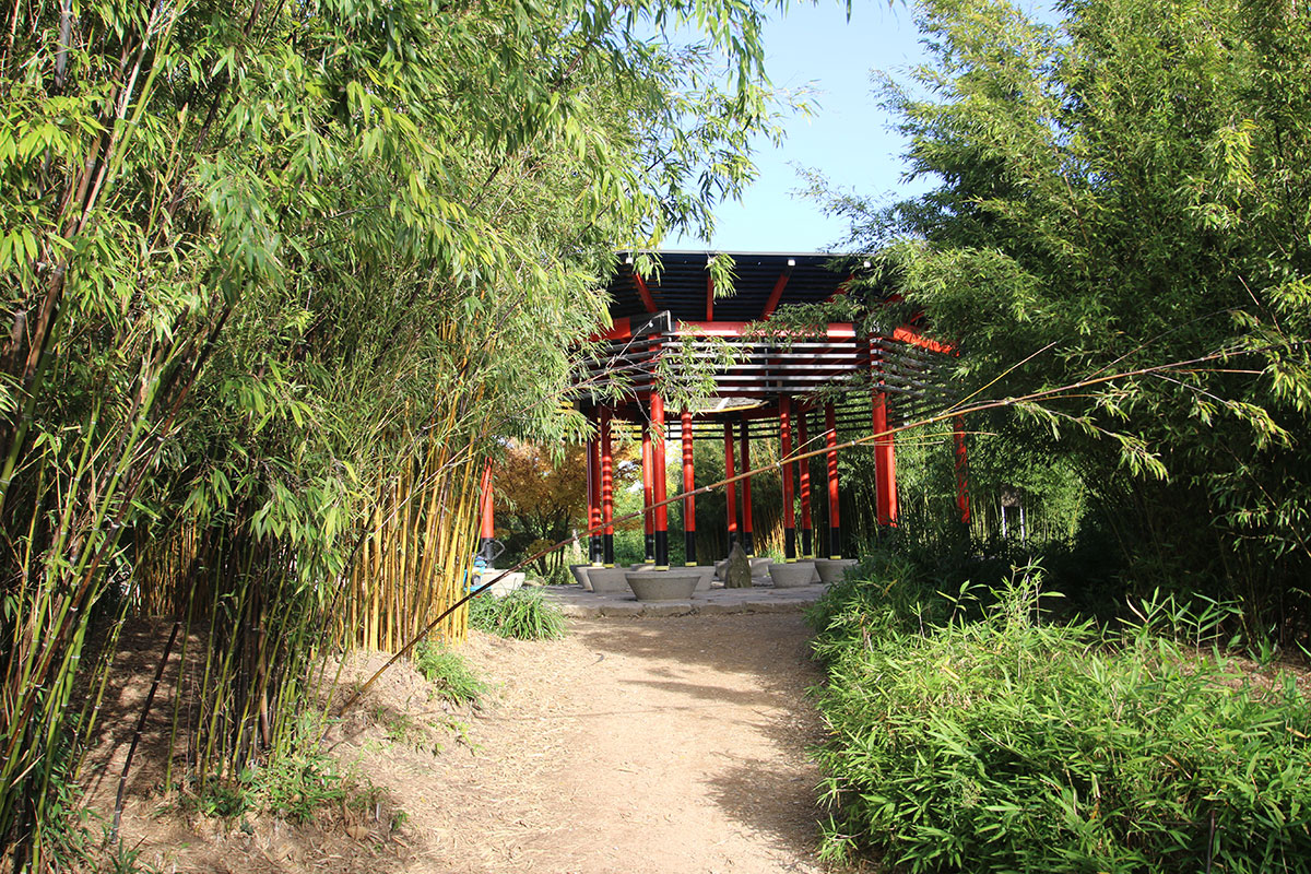 The Bamboo Garden