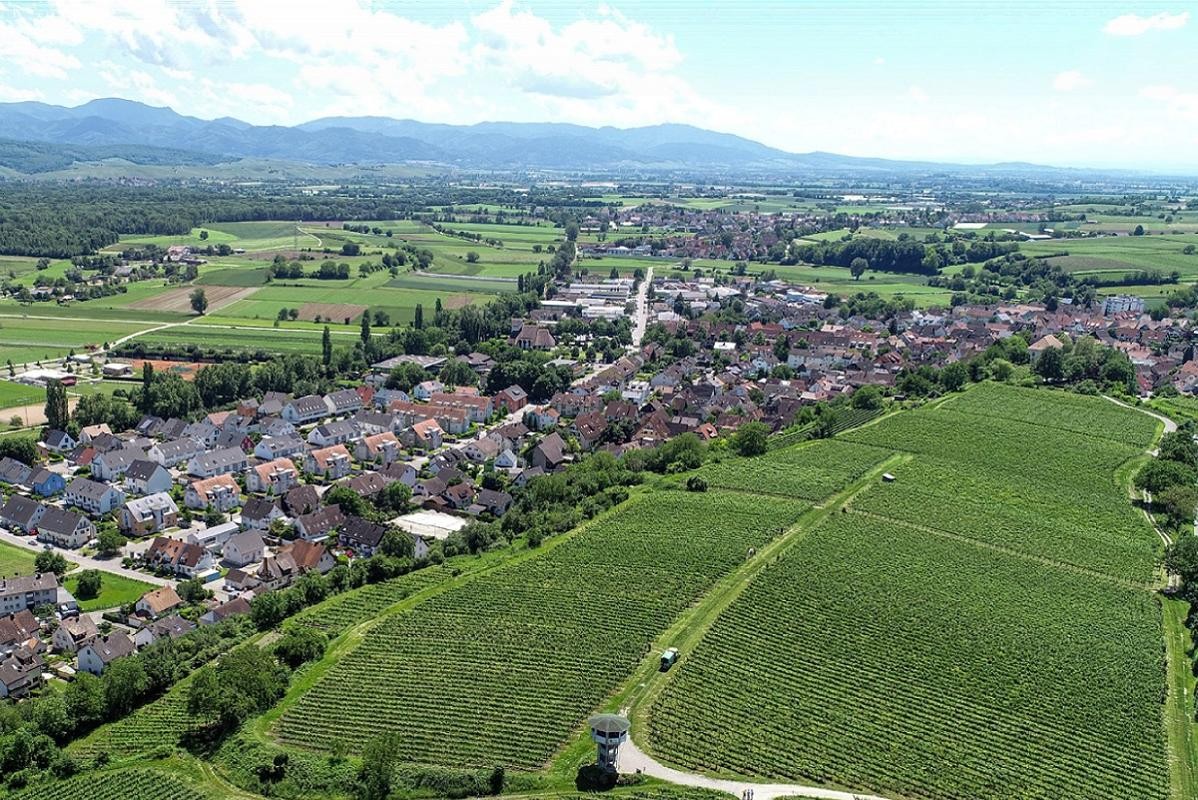 Dorf und Weinberge