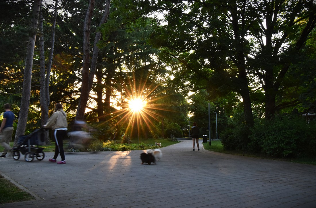 Menschen und Hunde auf einem Weg in der Brandel-Anlage
