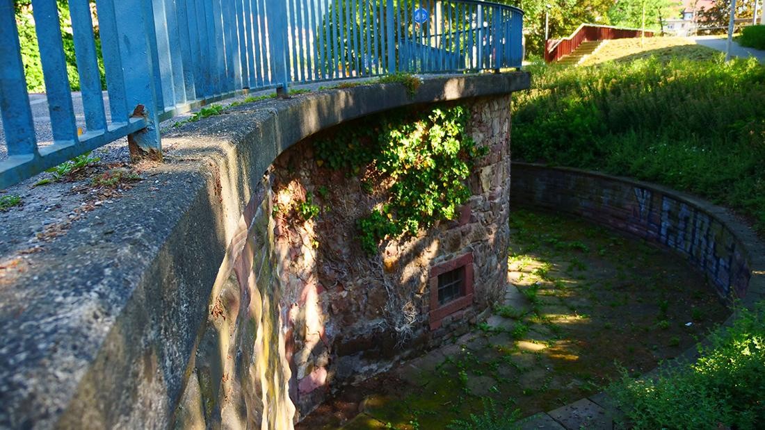 Begrünte Steinmauer mit blauem Geländer