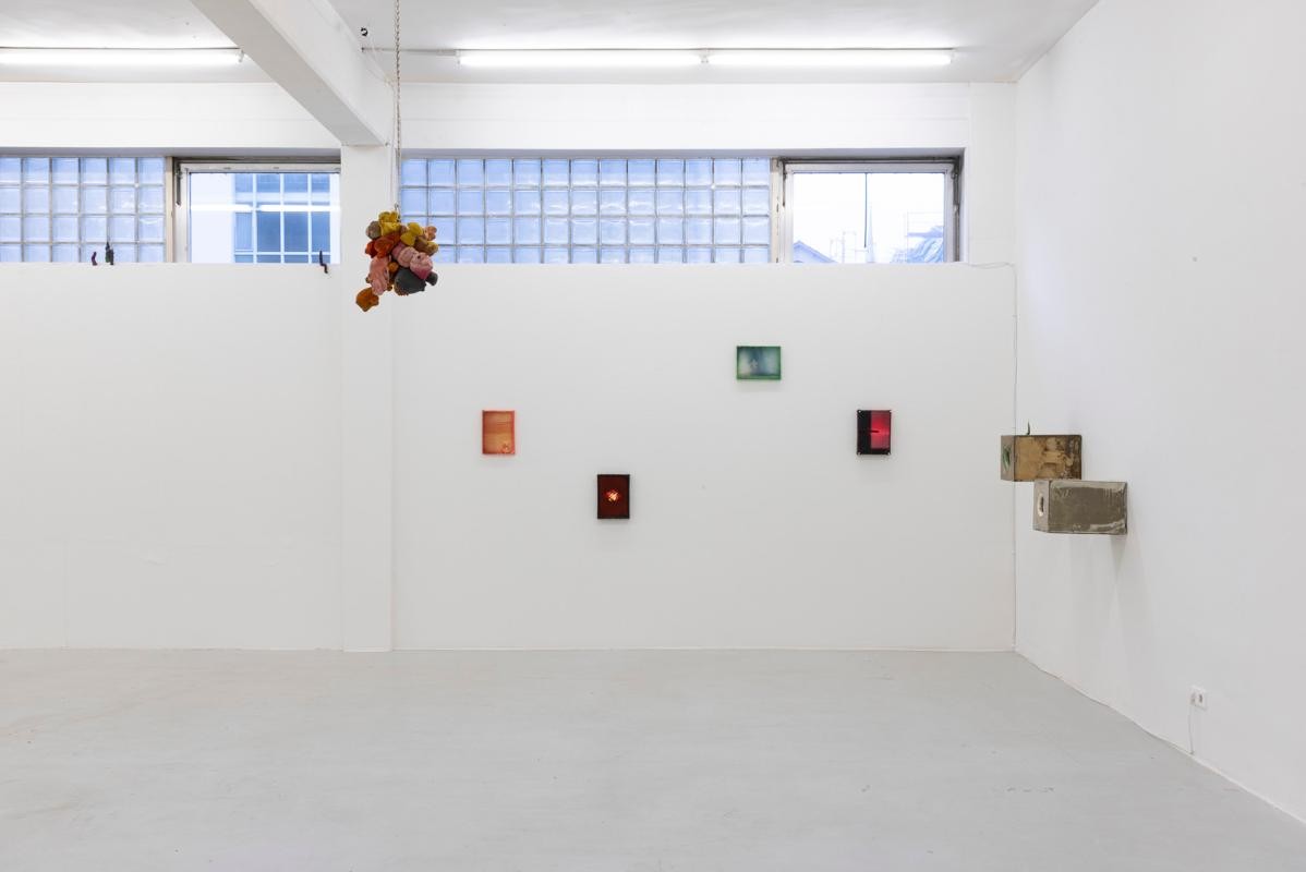 Ausstellungsansicht Regionale24