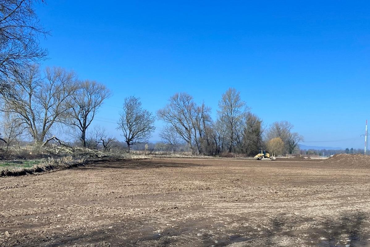 Erdfläche vor Bach mit Bäumen