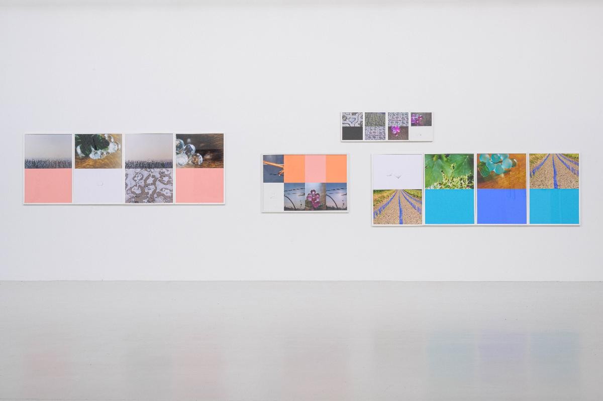 Foto:Marc Doradzillo Ausstellungsansicht der Arbeiten "Exursion Nr. 14" und "Das Terrain sondierend Nr. 6". Entstanden während Spaziergängen in Weinbergen in Ihrigen, Verbindung von Fotografie und Aquarell