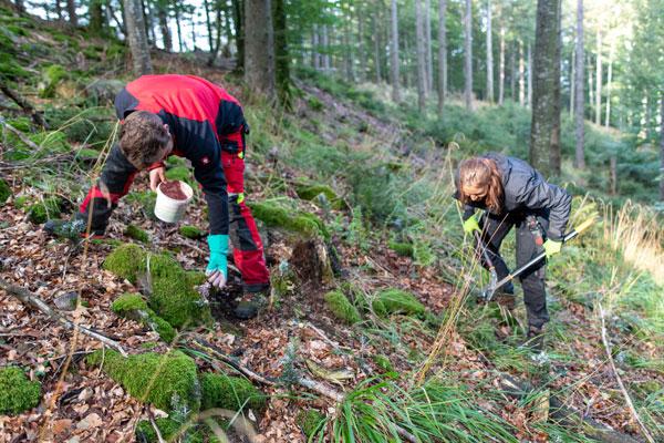 Zwei Personen sammeln Müll im Wald