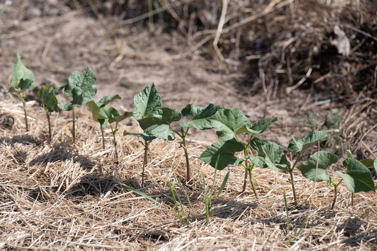 Foto: Seeger/Stadt Freiburg Foto: Seeger/Stadt Freiburg