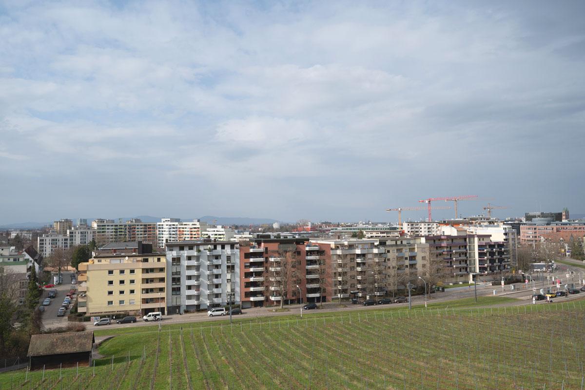 Foto: Seeger/Stadt Freiburg