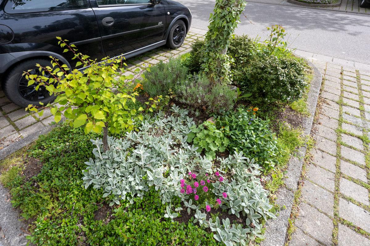 Buntes Beet um einen Baum herum