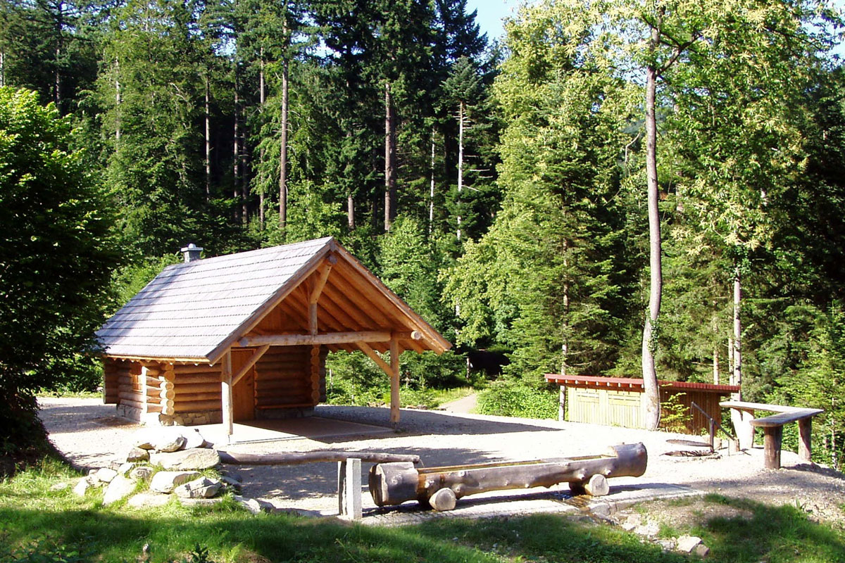 Forsthütte mit Grillstelle im Wald