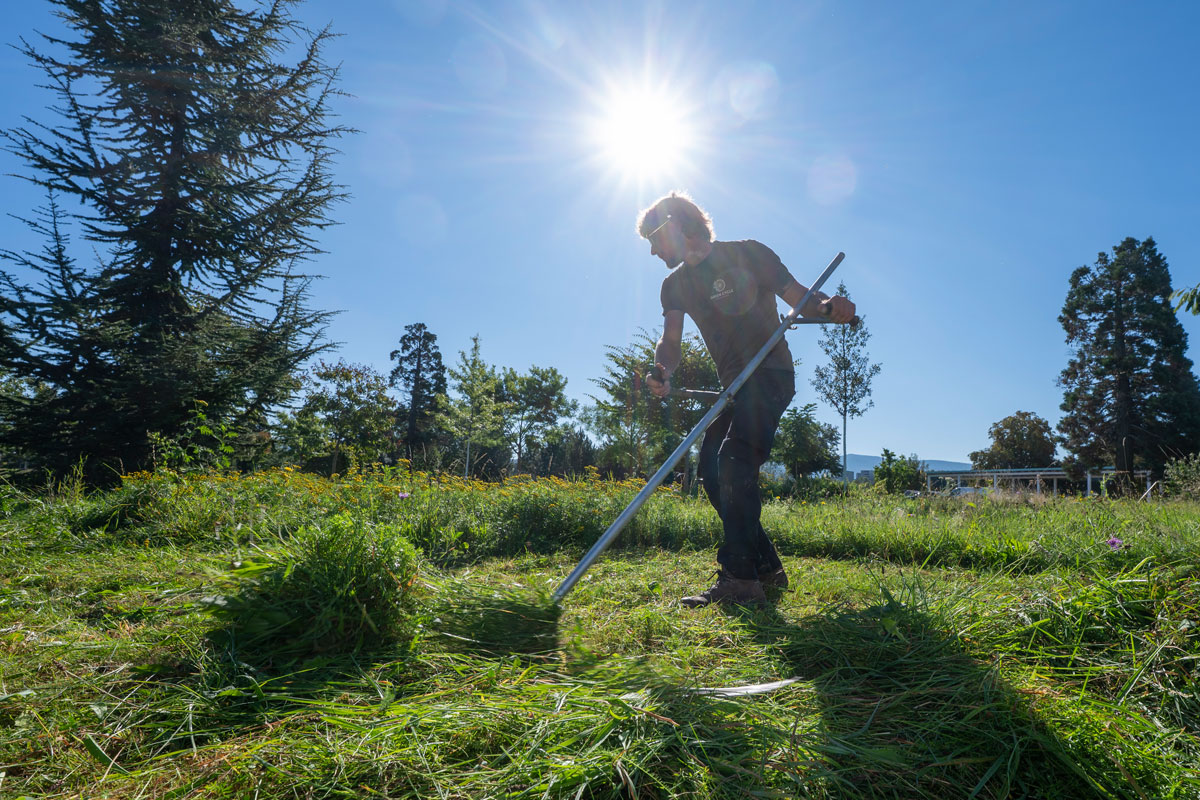 Person hält Sense in der Hand und mäht Wiese