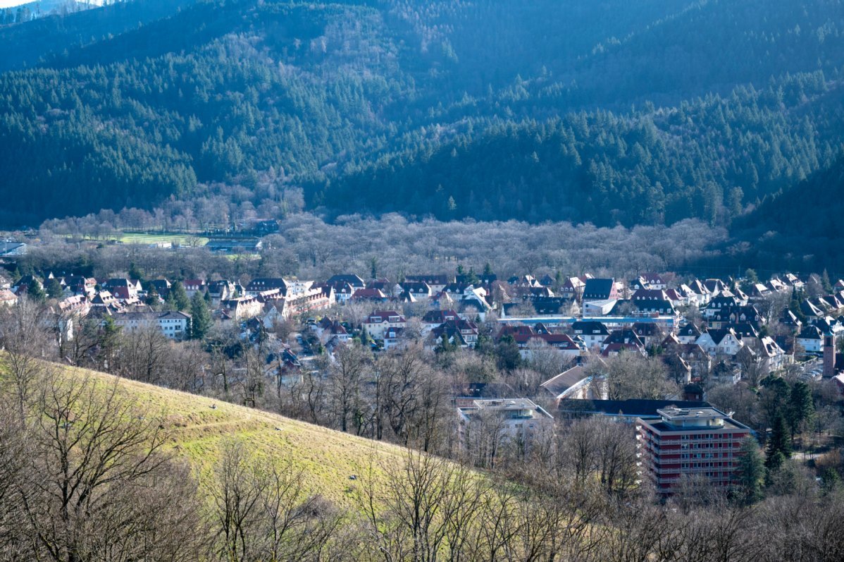 Der Stadtteil Waldsee aus der Höhe, Hausdächer und im Hintergrund Berge und Wälder