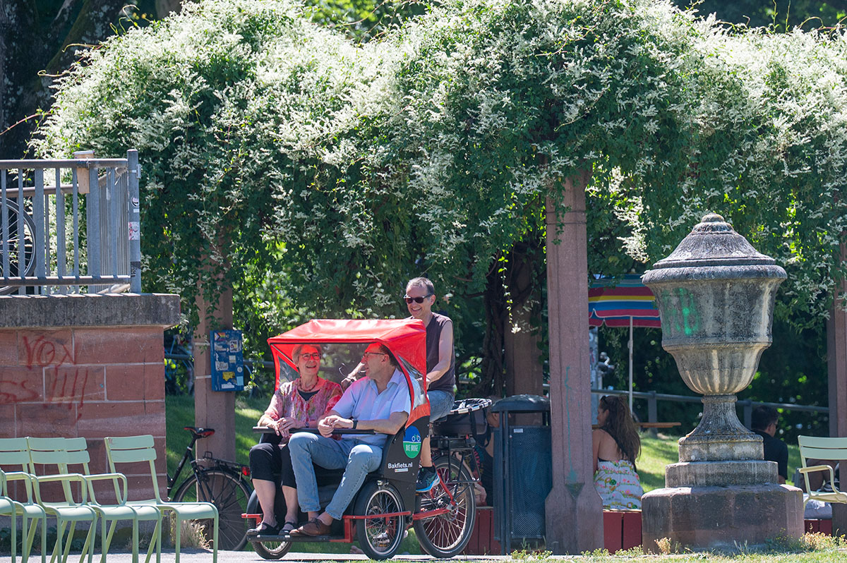 Aktionstag Aktionstag