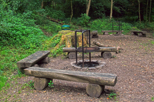 Grillstelle im Wald