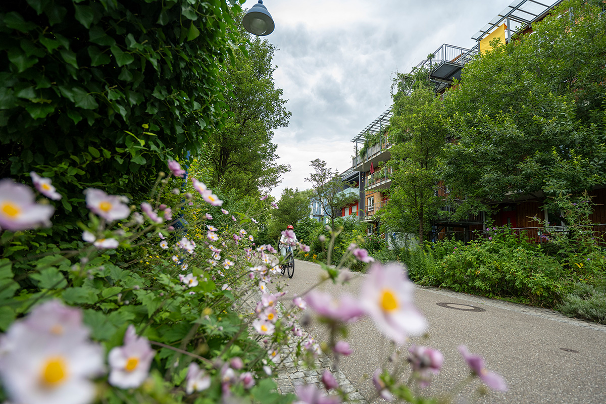 Eine autofreie Straße; im Vordergrund Blümchen, links und rechts von der Straße ist viel Begrünung. Jemand fährt Fahrrad.