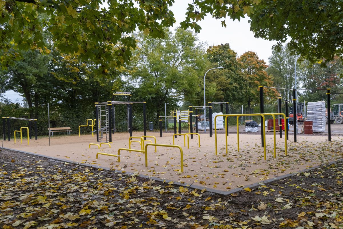 Calisthenics-Anlage 