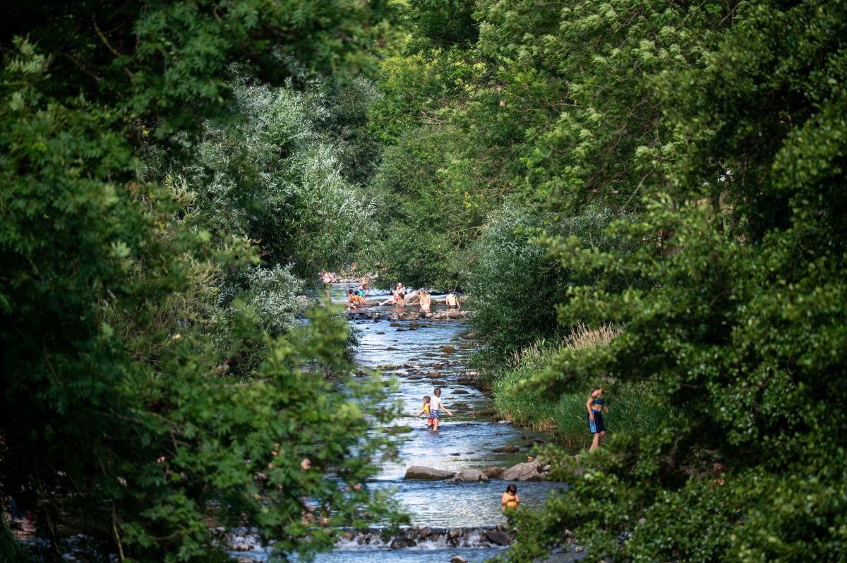 Zwischen Bäumen sieht man die Dreisam, in der Leute baden