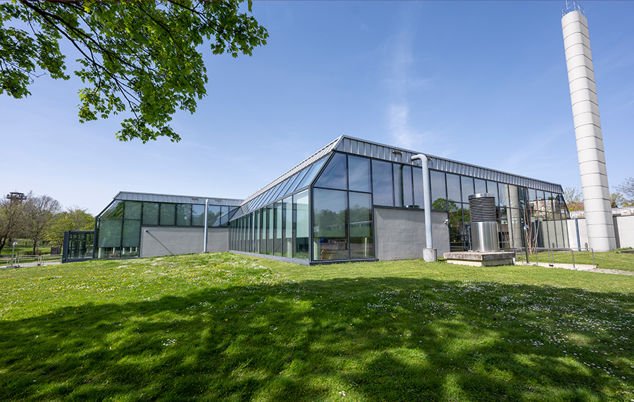 Weckruf fürs Westbad: Im Bundesprogramm "Sanierung kommunaler Einrichtungen" liegen 476 Millionen Euro. Einen ganz kleinen Teil davon, genau 3,55 Millionen, erhofft sich Freiburg für die Modernisierung des Westbads. Zu Recht, wie sich im Dezember zeigt.