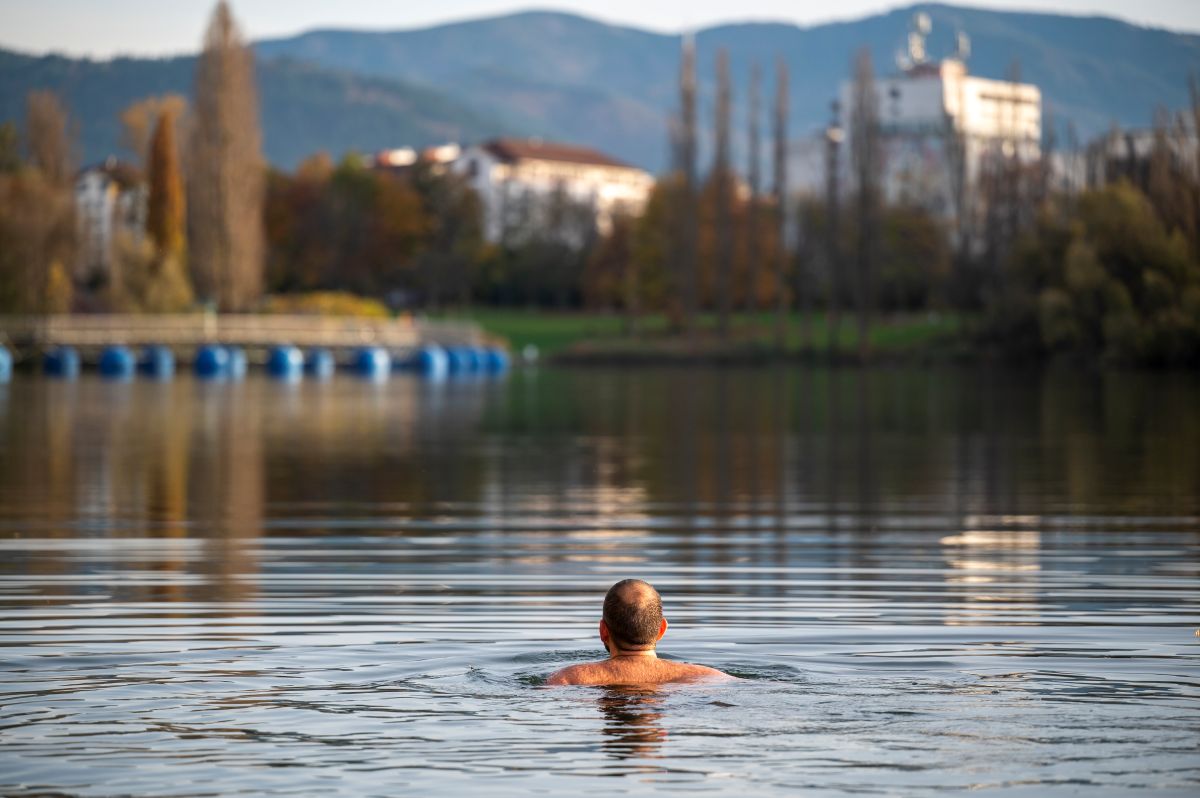 Ein Mann von hinten beim Schwimmen im Flückiger See