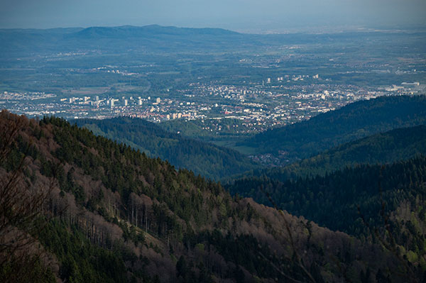 Berge mit Wald, im Hintergrund Stadt