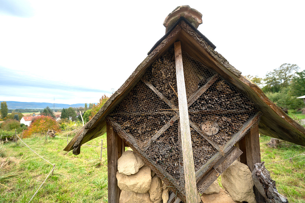 "Insektenhotel" aus Holz und Steinen auf einer Wiese