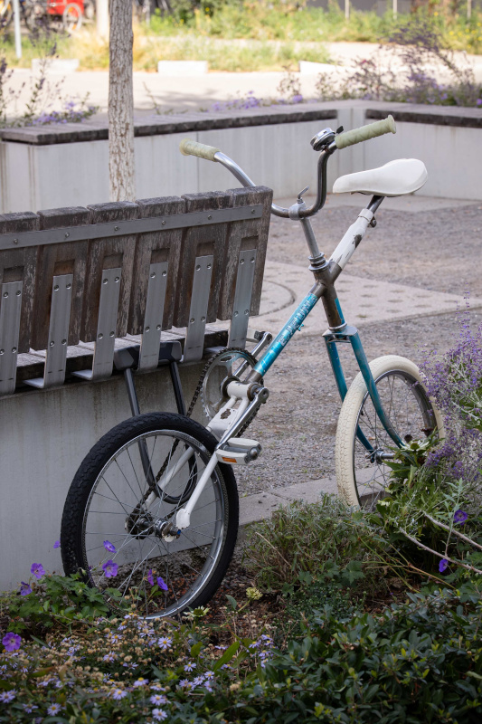 FREEWHEELING FREEWHEELING