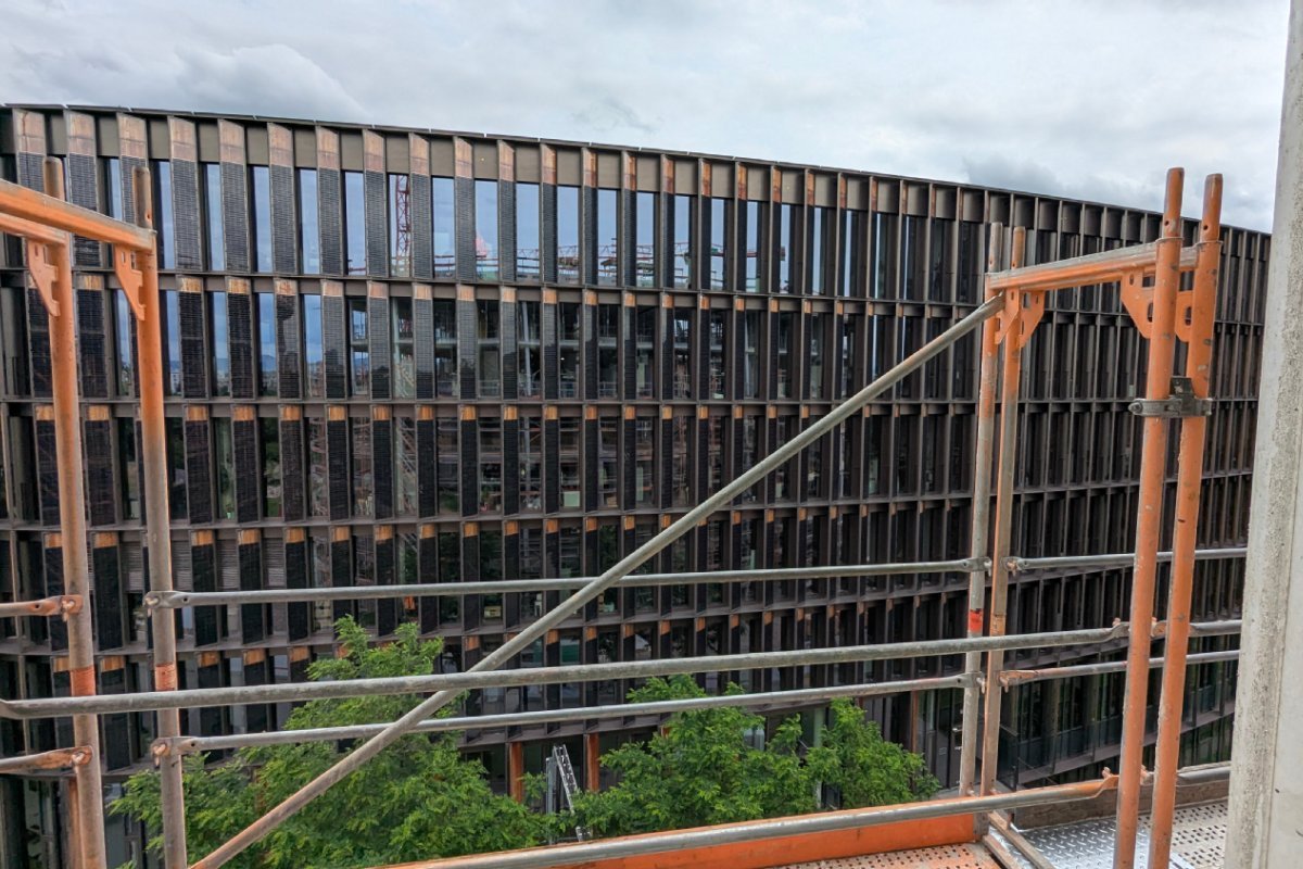 Baugerüst, dahinter das Rathaus im Stühlinger