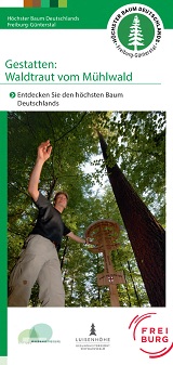 Flyer zu Waldtraut - der höchste Baum Deutschlands.