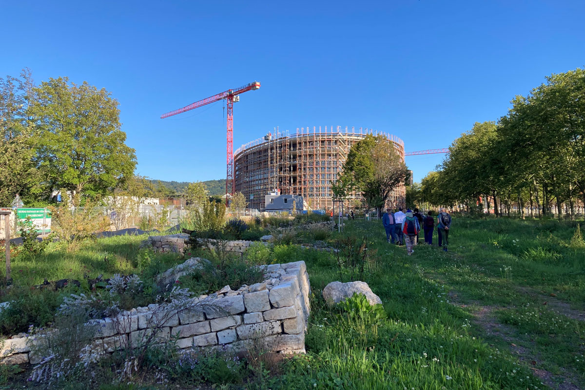 RiS B im Hintergrund, im Vordergrund Gärten