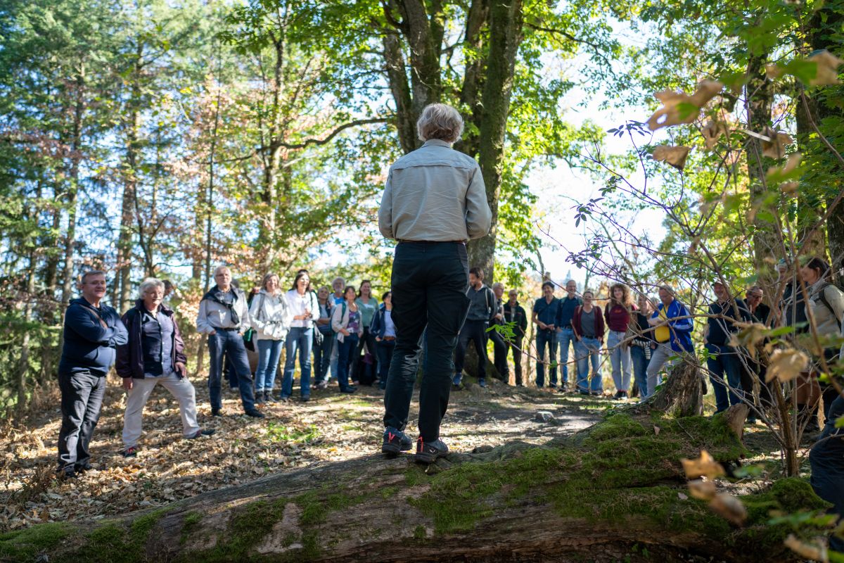 Nicole Schmalfuß erklärt den Gästen beim Waldbegang den Wald