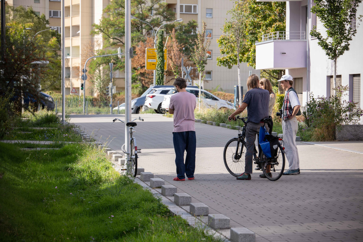 FREEWHEELING FREEWHEELING