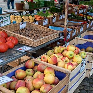 weißer Teller mit Gemüse-Linsen-Gericht