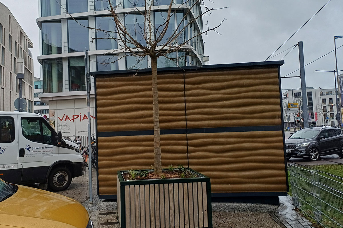 Wanderbäume auf dem Münsterplatz