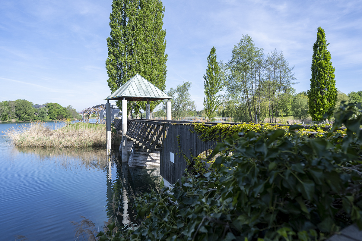 Brücke am Flückigersee