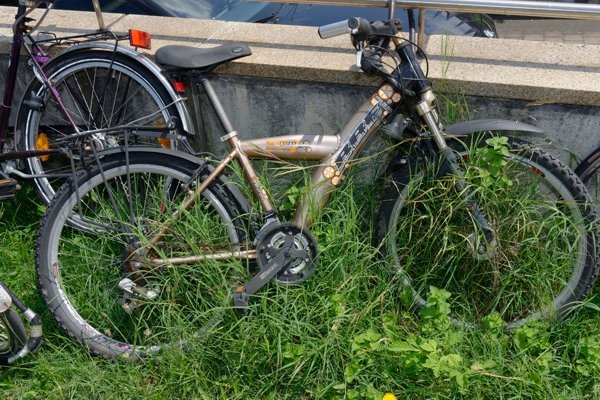 Altes Fahrrad, das von Pflanzen überwuchert ist