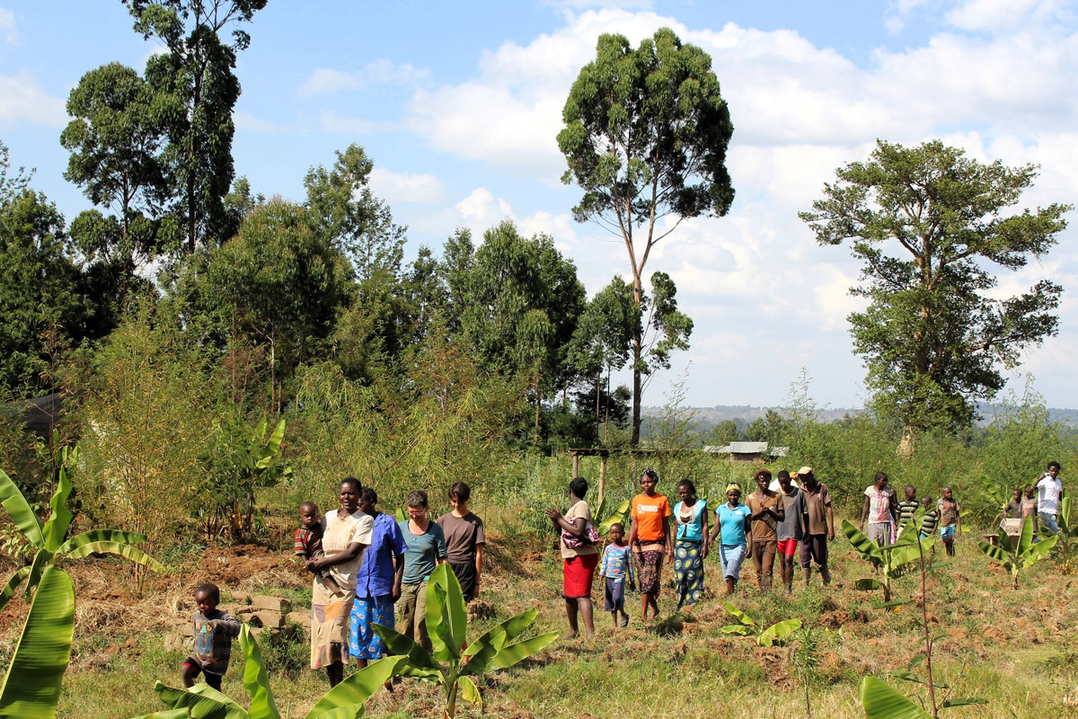 Mehrere Personen laufen durch einen Wald