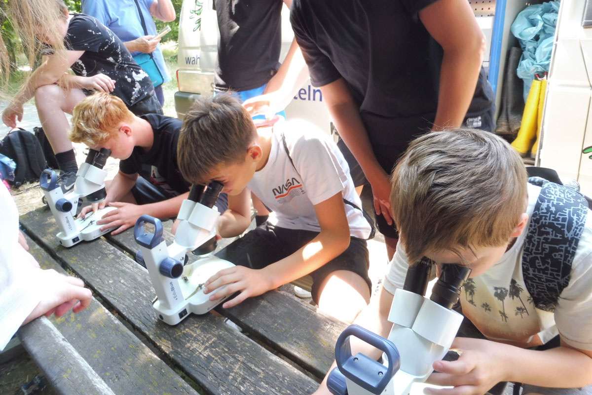 Kinder schauen durch Mikroskope