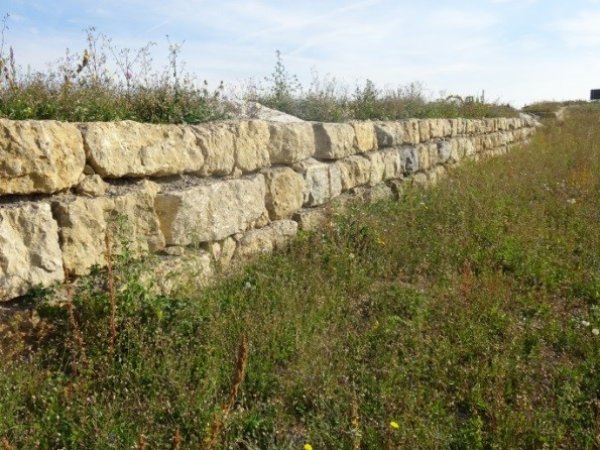 Gras mit langer Sandstein-Mauer