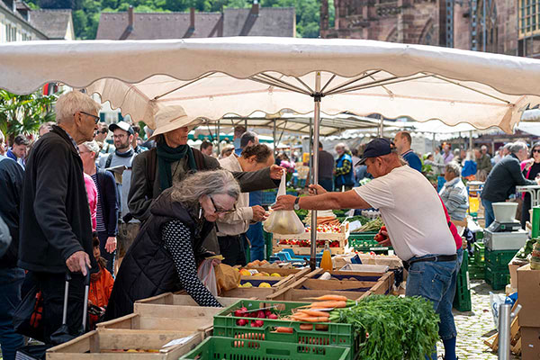 Marktstand auf dem Freiburger Münstermarkt mit Kund*innen