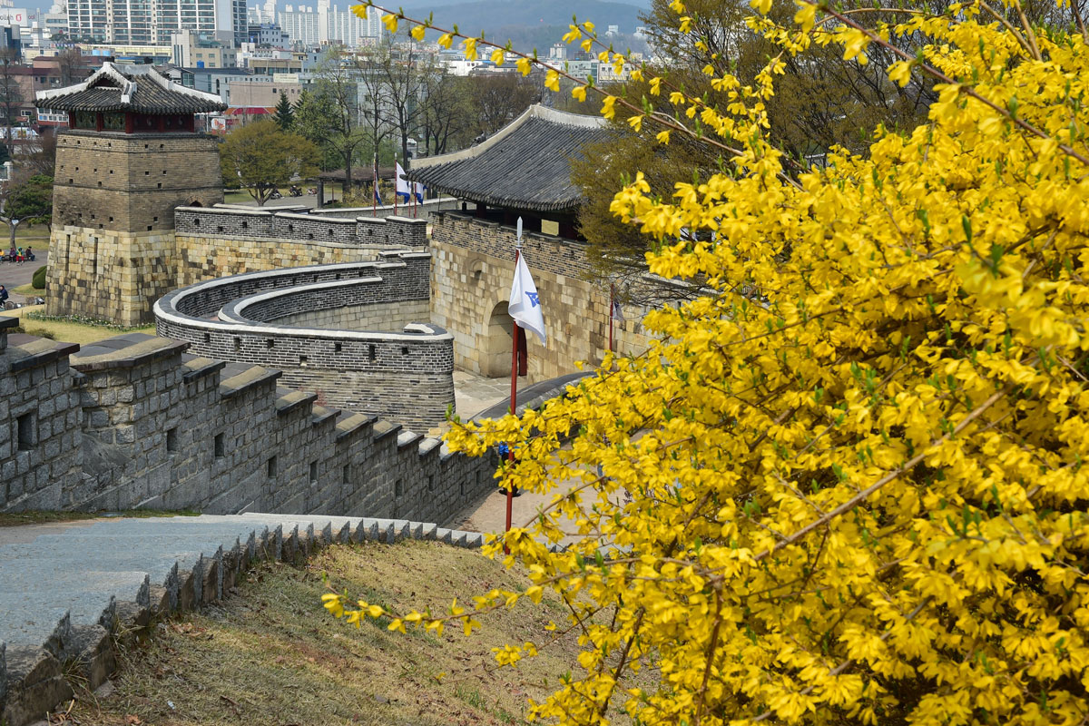 Festungsmauer (Fotos: Stadt Suwon)