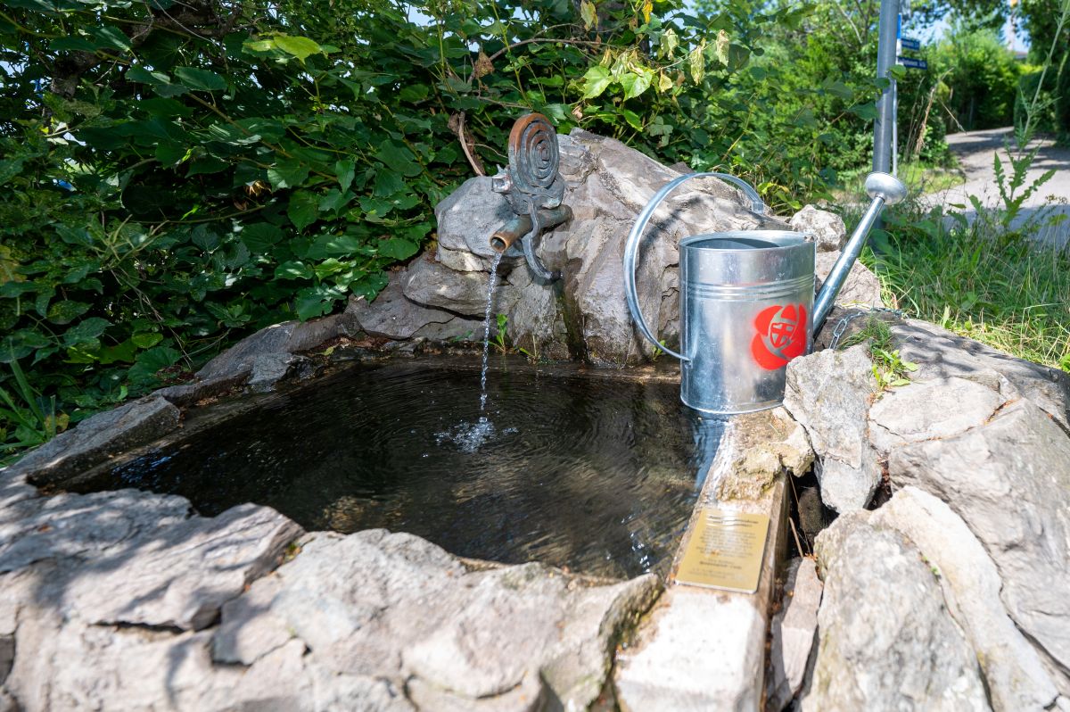 Gießkanne steht auf dem Rand eines mit Wasser gefüllten Brunnens.