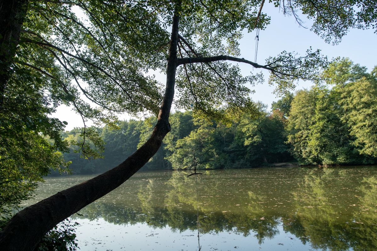 Blick auf den kleinen Opfinger See.