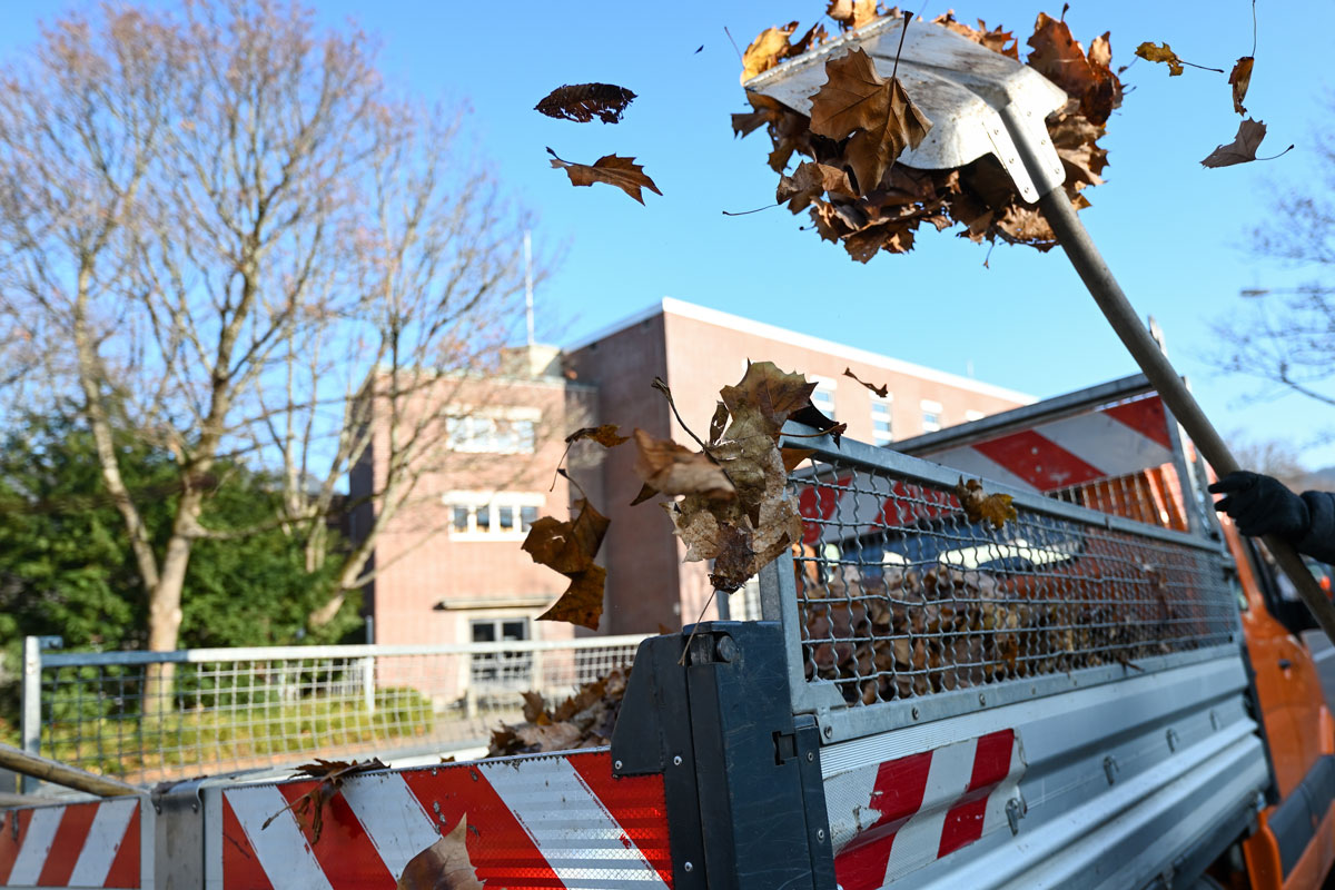 Person wirft mit einer Schaufel Laub in einen Anhänger