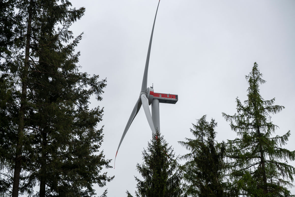 Windrad, das zwischen Baumkronen hervorsticht