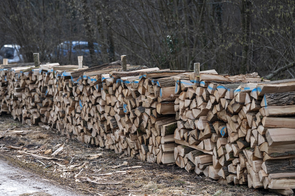 Stapel von Brennholz am Waldweg.