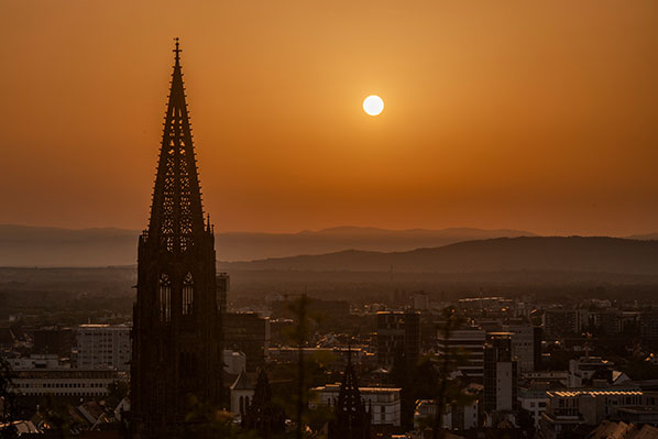 Münster im Sonnenuntergang