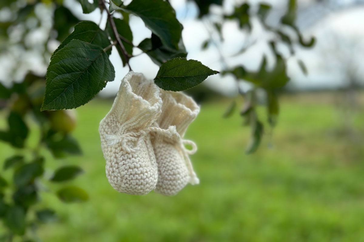 Kinderschuhe, die an einem Baum hängen