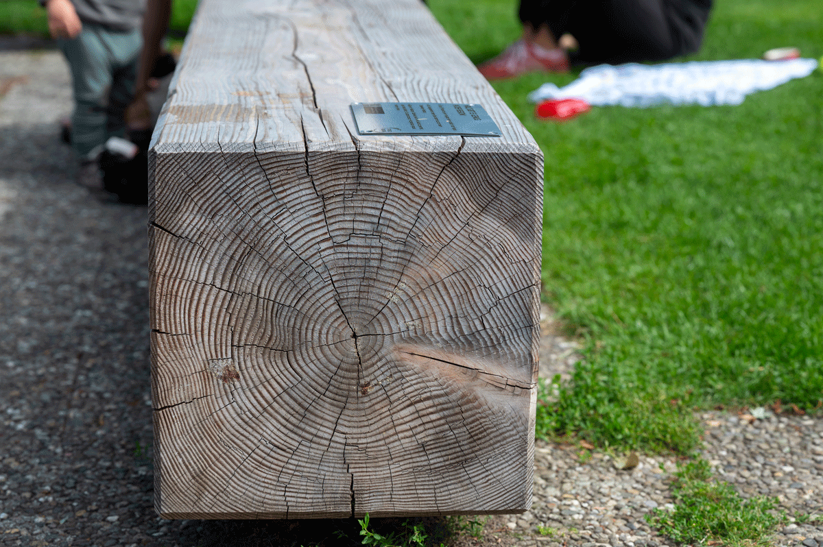 Holzbank, daneben Wiese