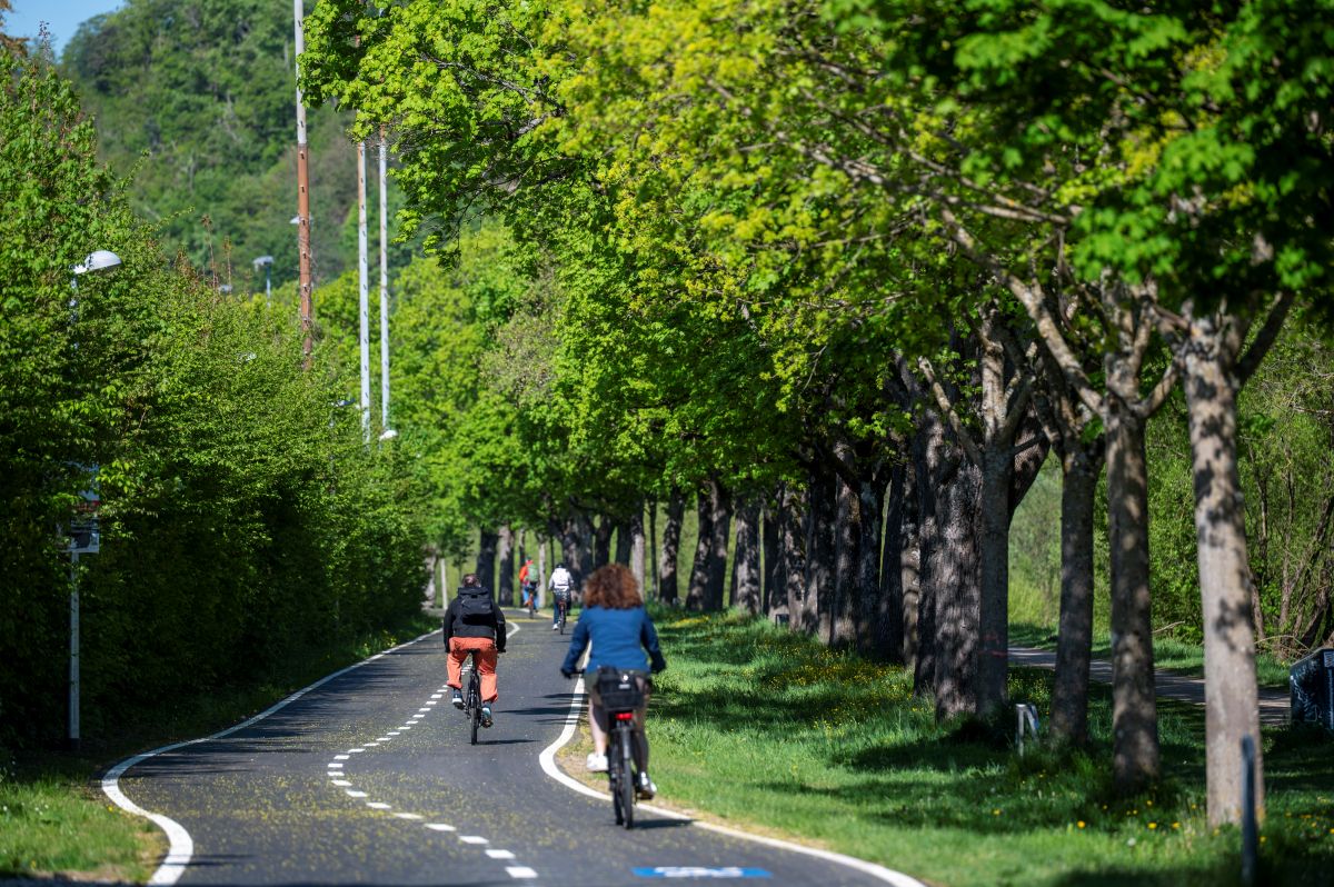 Zwei Fahrradfahrer*innen fahren auf dem FR1 an der Dreisam entlang