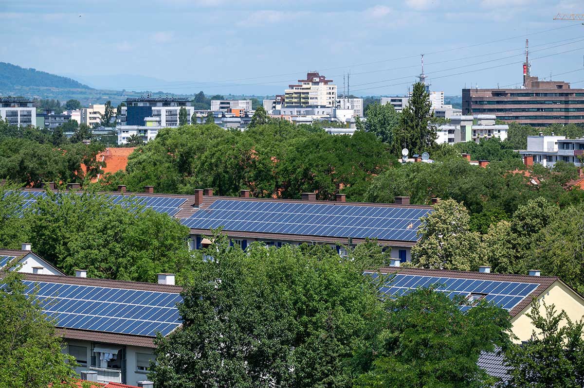 Dächer mit Solaranlagen zwischen Bäumen