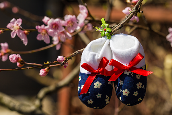 Babyschuhe hängen an einem Kirschbaum